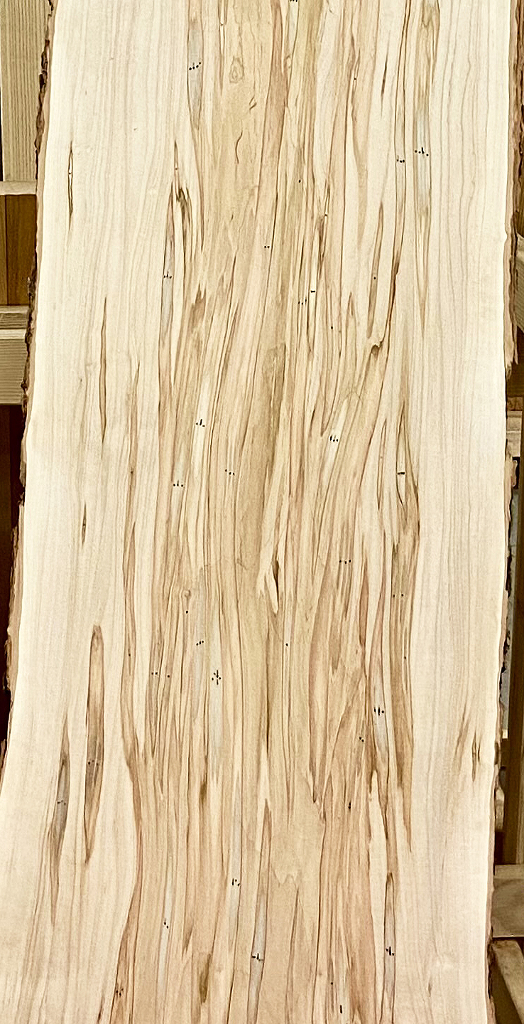 * Maple, Wormy Soft Ambrosia